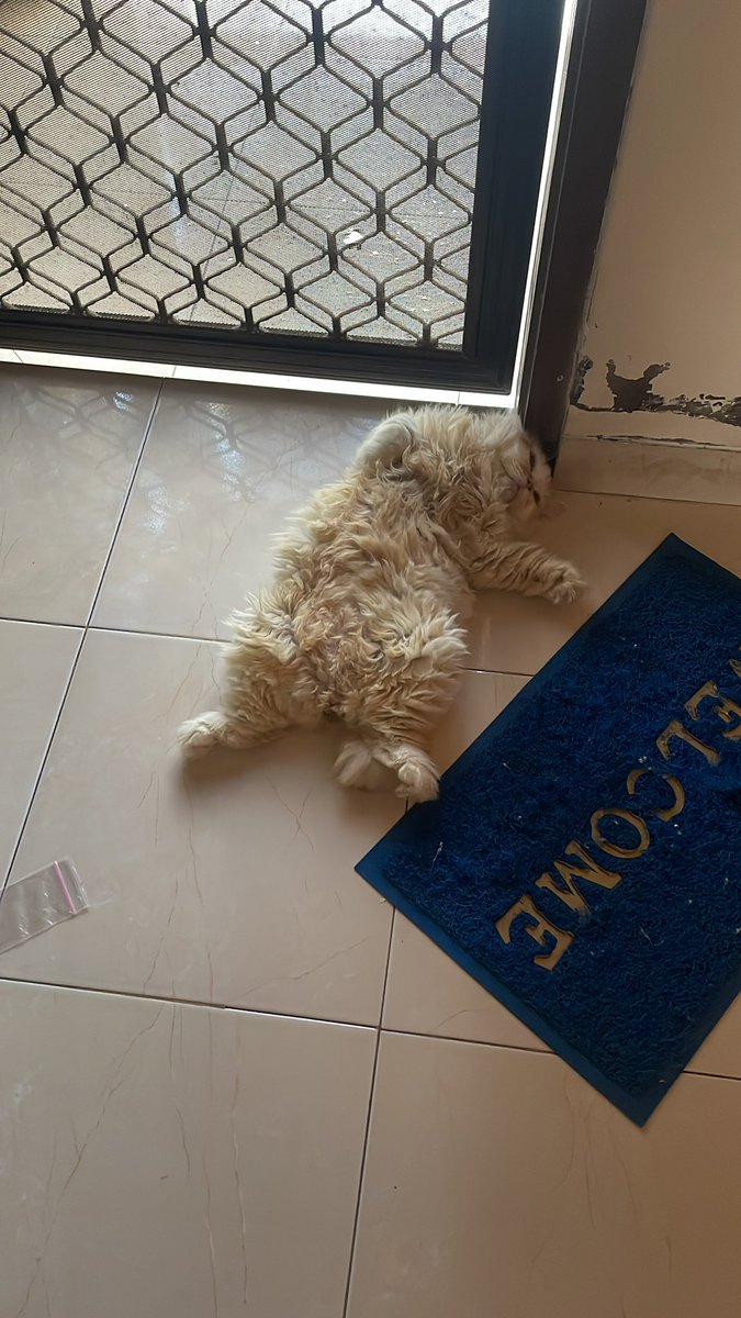 agi aka duckofyork tweet media