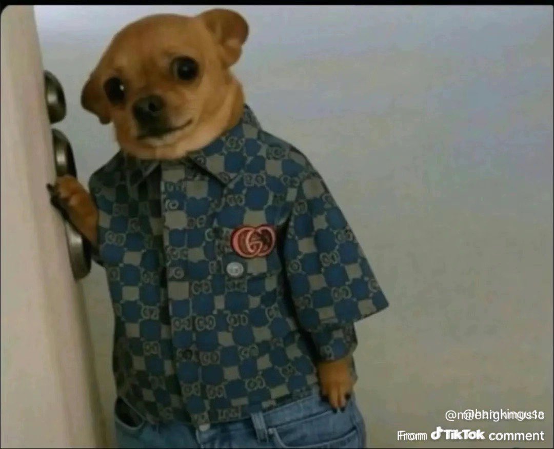 Roderick 🫧 tweet media