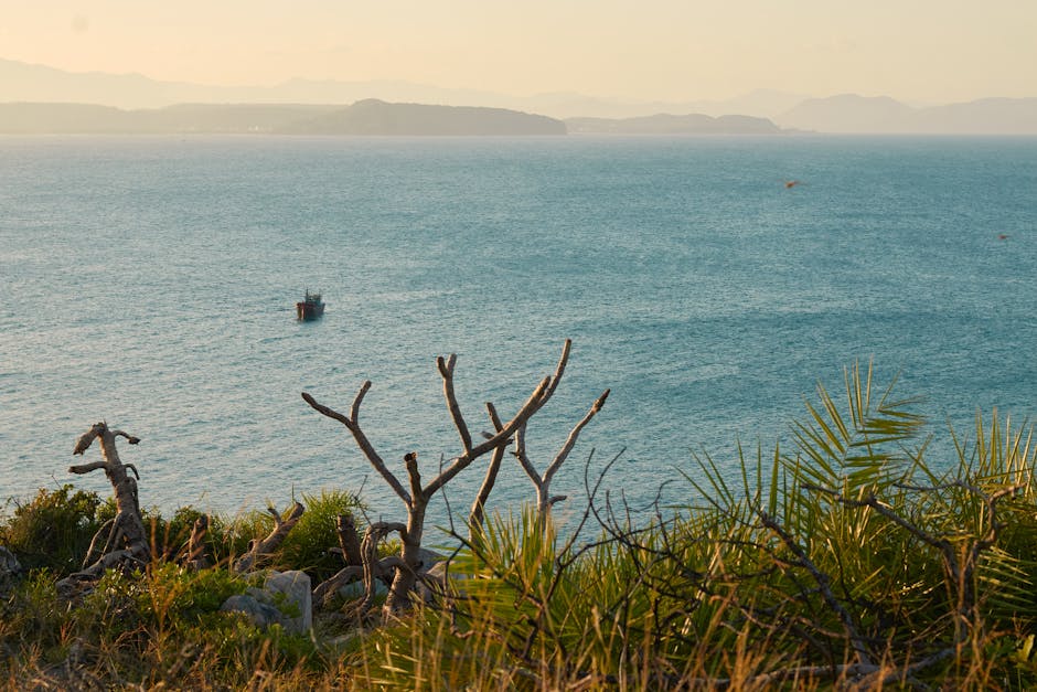 Aleisha Peffer tweet media