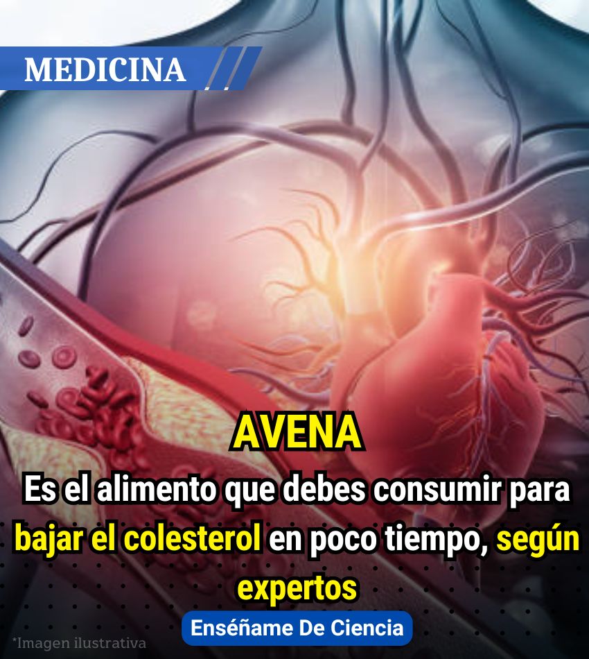 Enséñame de Ciencia tweet media