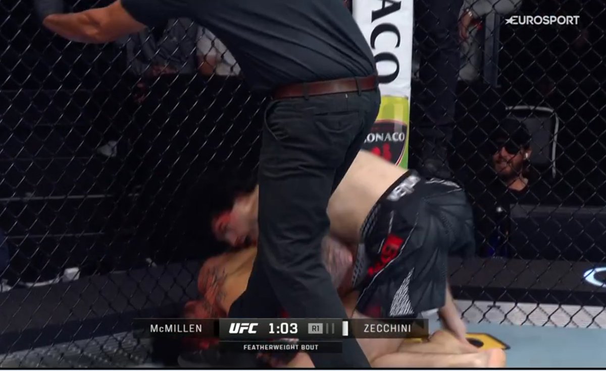 Pelunaton tweet media