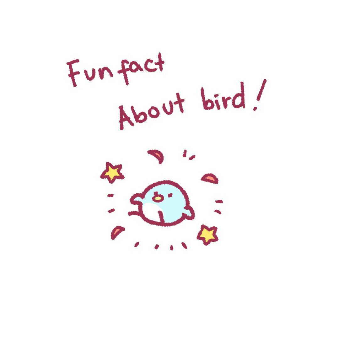 mecchaJP's tweet image. Funfact about birds! (ˆ꜆ .  ̫ . ) ꜆ ⌒ ♡ 
#MiyaDaily #cute #funfact 
------

Follow @miyapipou for more of Miya &amp;amp; Pipou! 🐈 🐦