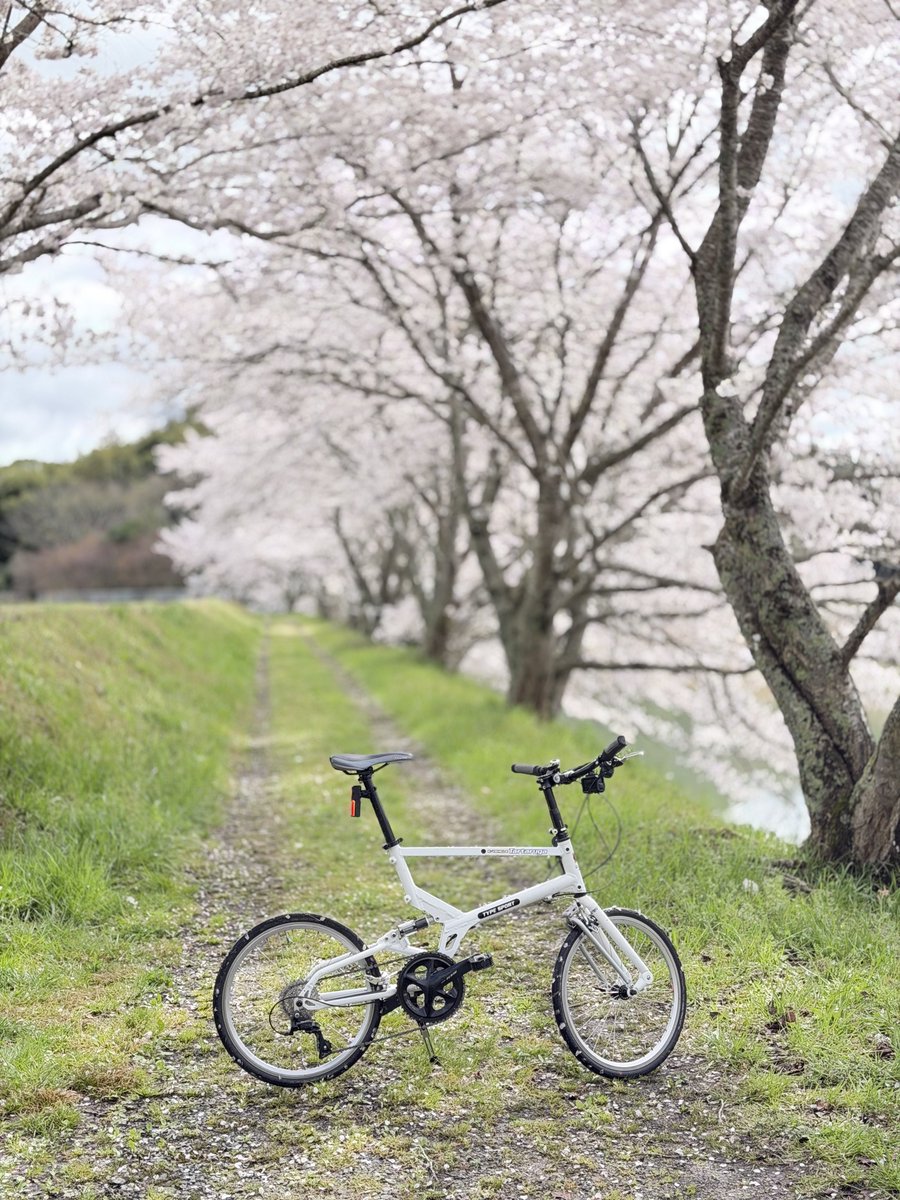 YTK-system tweet media