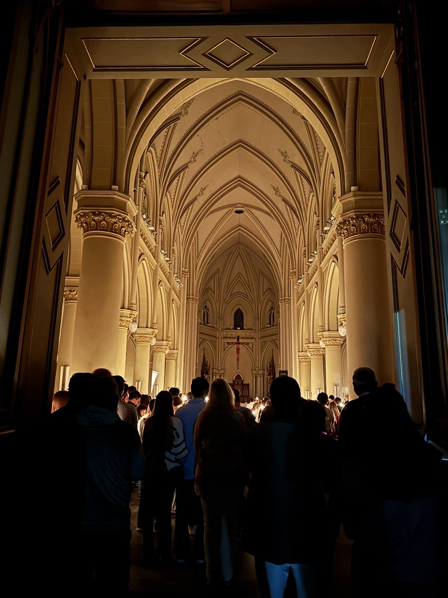 Majo 🍄 tweet media