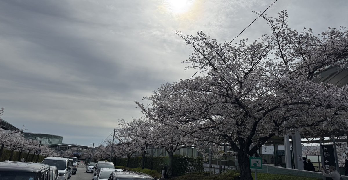 タイガーさえき tweet media