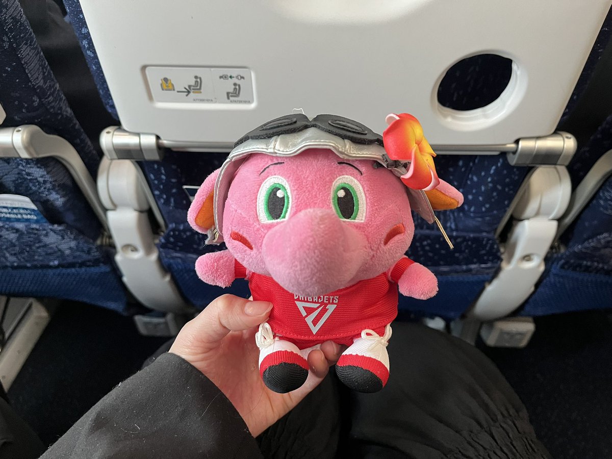 𝐇𝐚𝐧𝐚𝐤𝐚_𝐒𝐓𝐀𝐑𝐉𝐄𝐓𝐒(スタージェッツ) tweet media