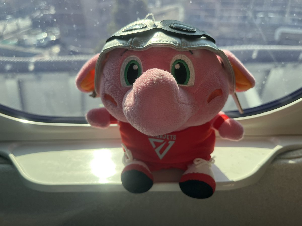 𝐇𝐚𝐧𝐚𝐤𝐚_𝐒𝐓𝐀𝐑𝐉𝐄𝐓𝐒(スタージェッツ) tweet media