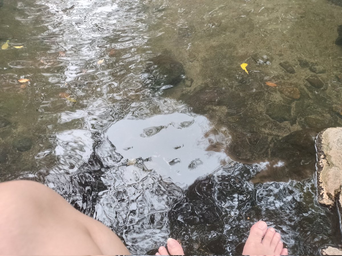 Master_Chain BKK tweet media