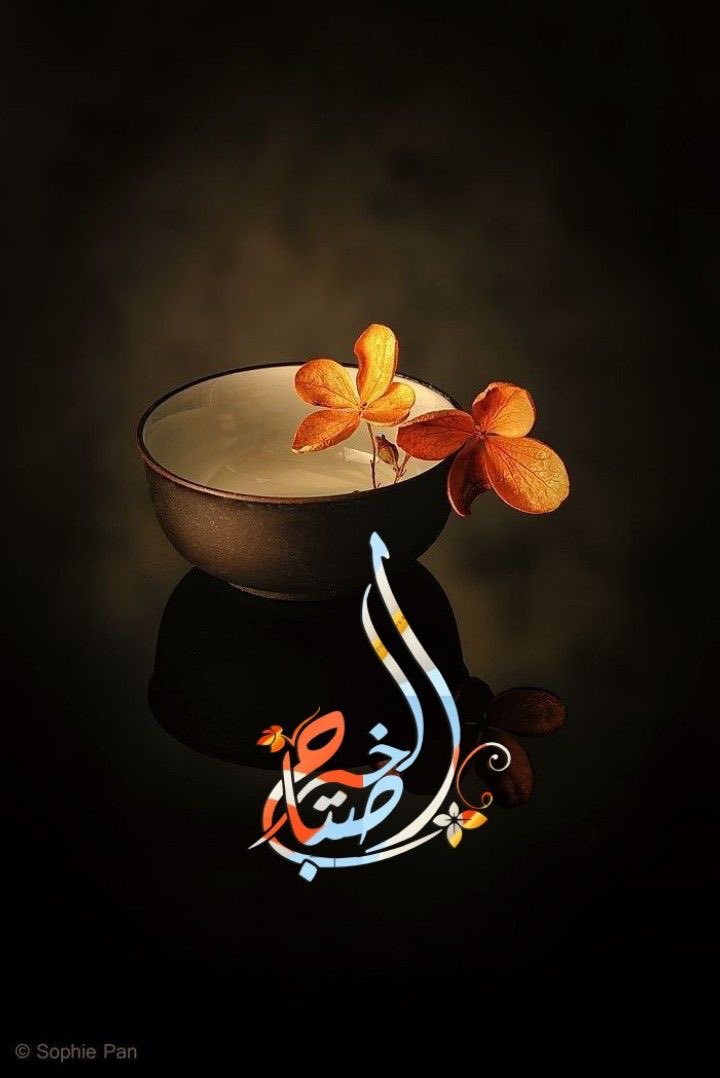 Mounir 🇮🇶 Al-Aidni tweet media