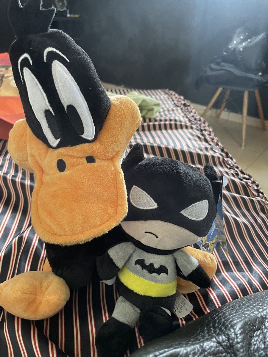 catarina tweet media