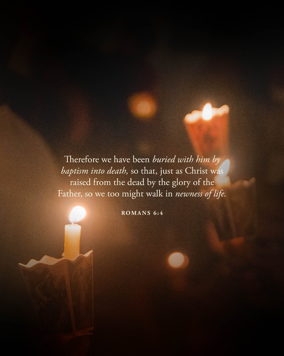 Word on Fire tweet media