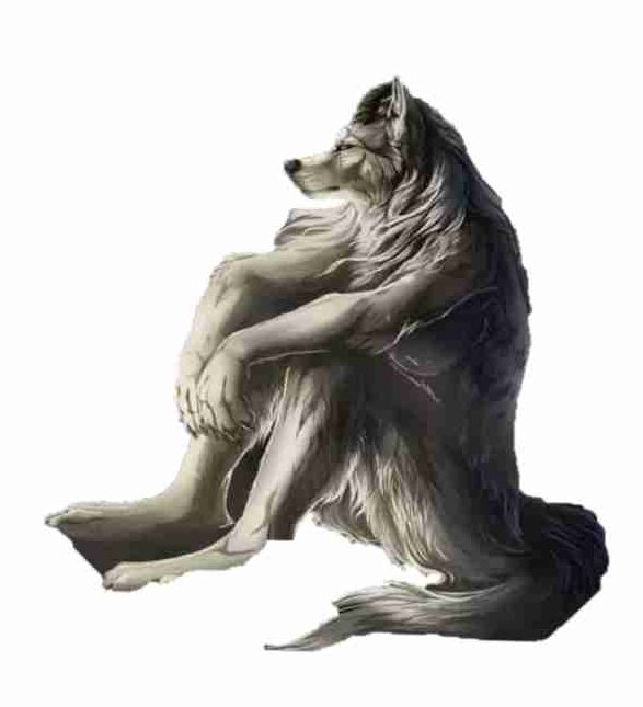 Cloudimations tweet media