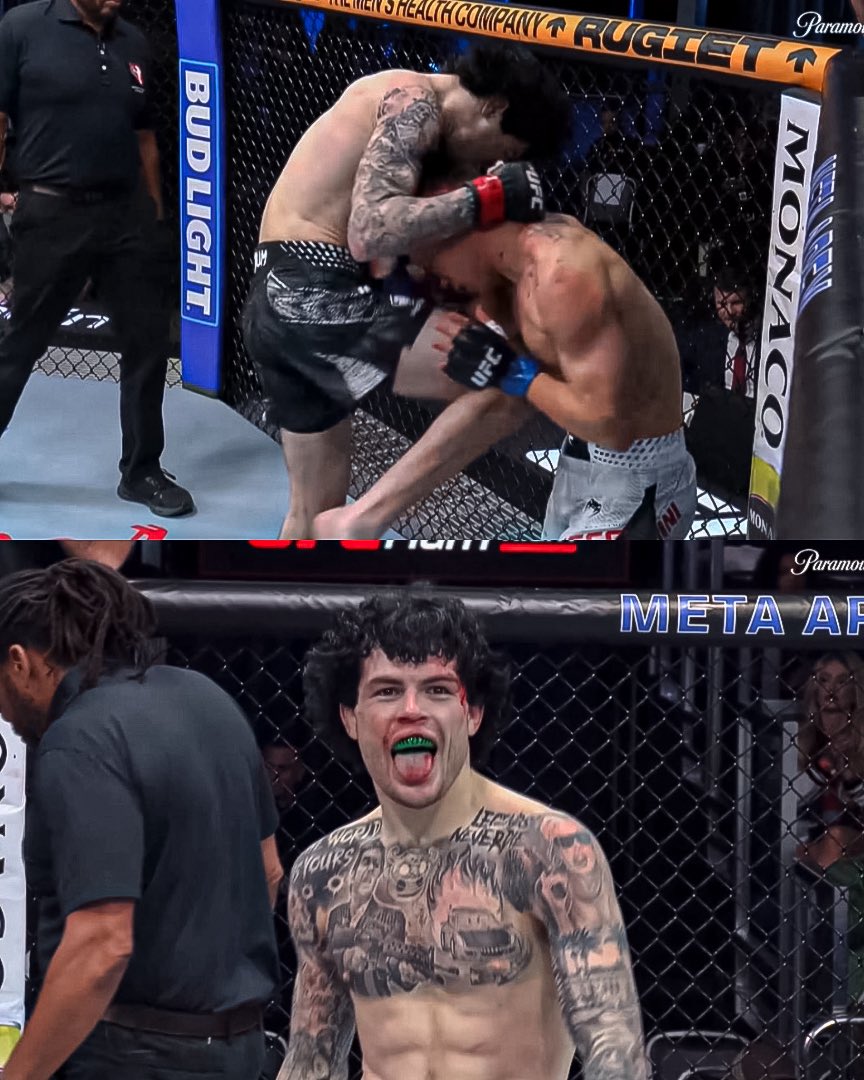 Home of Fight tweet media