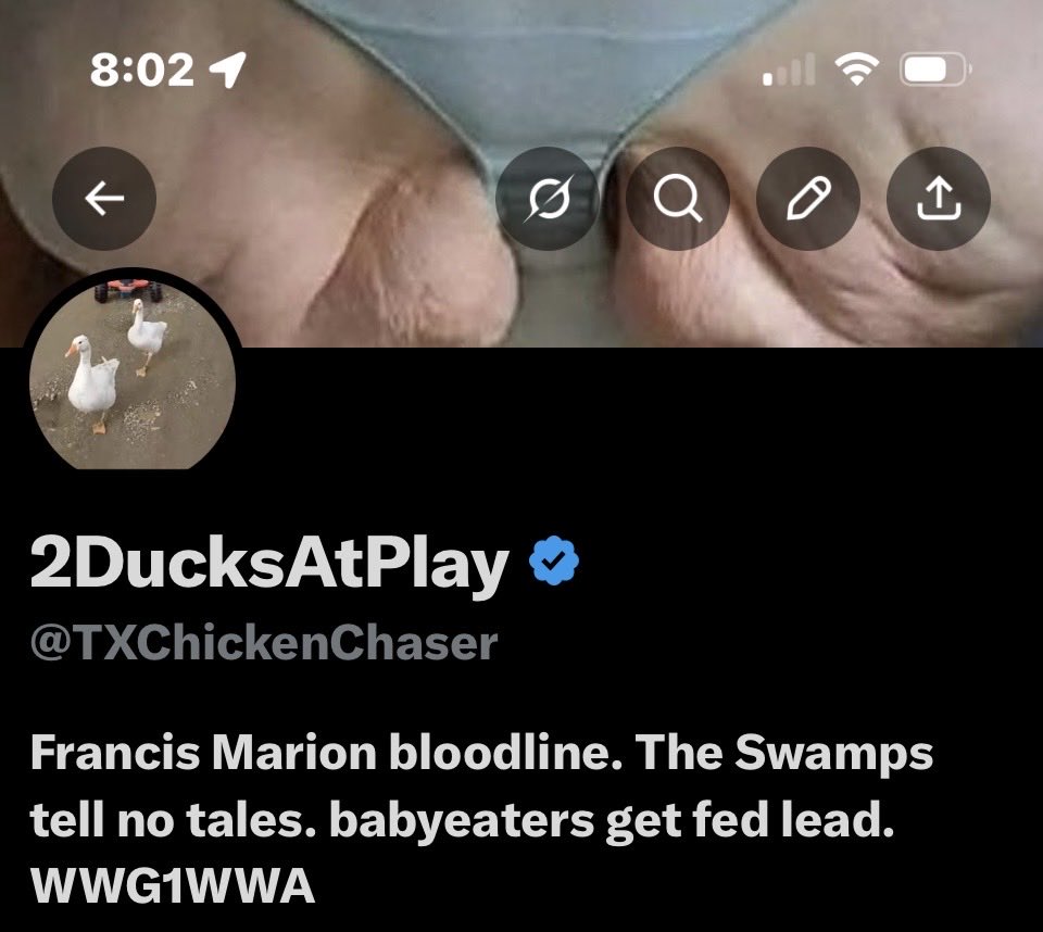 2DucksAtPlay tweet media
