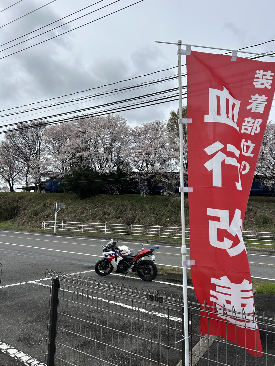 たまごかけみかん ぽんぽこﾆｬｰﾝ(半分猫垢)₍ᐢ⓿ᴥ⓿ᐢ₎TKM@CBR650F tweet media