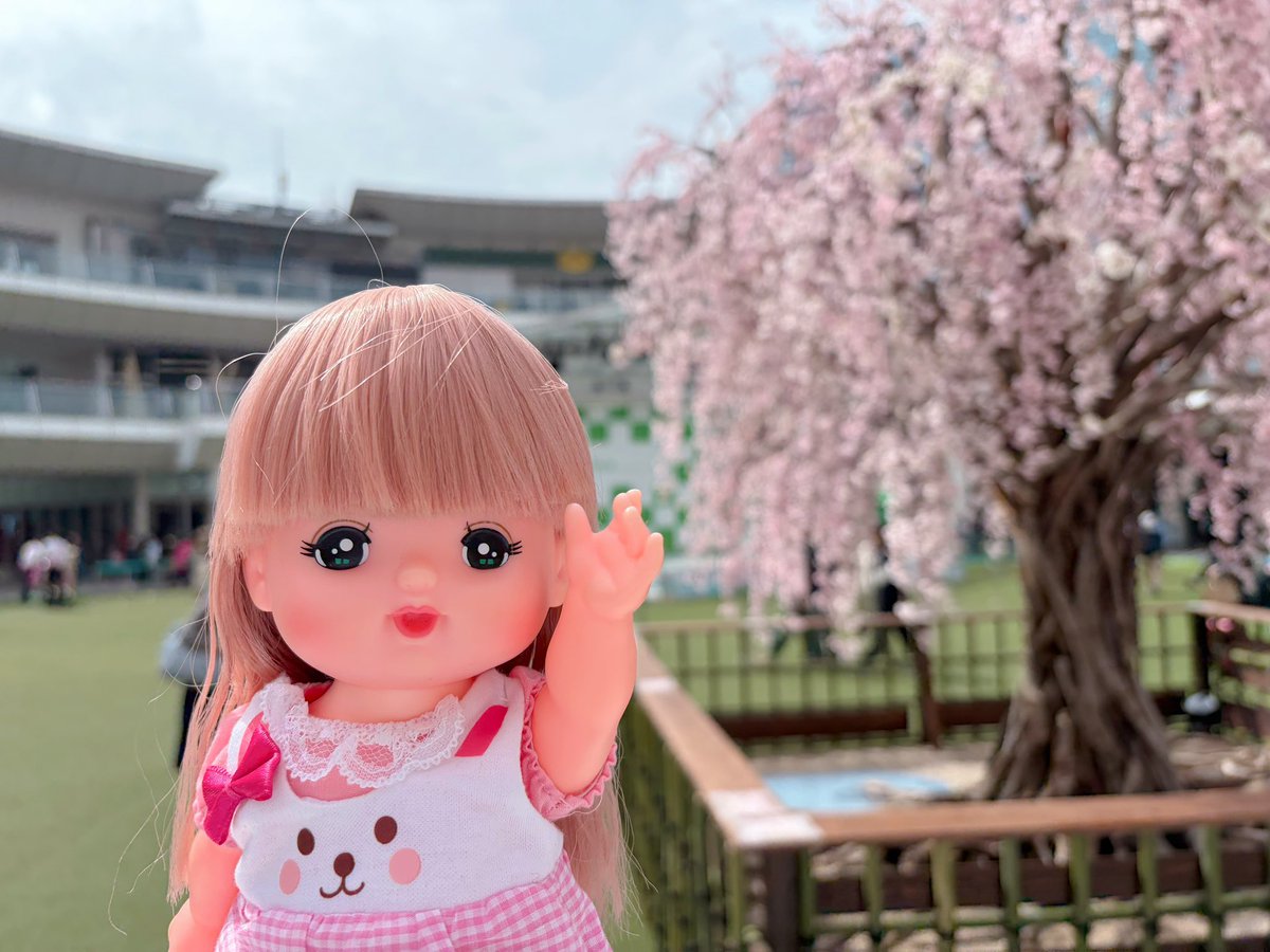 メルちゃん®︎ 公式 (@mellchan_dayo) / Posts / X