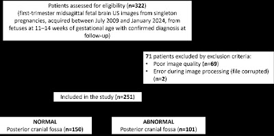 Radiology_AI's tweet photo. Development of a Deep Learning Algorithm for Posterior Fossa Abnormality Recognition on First-Trimester US Screening Scans: AIRFRAME Study Part 1 https://t.co/dUPx6C9JJf @VagniMarica #sonogram #FetalImaging #MachineLearning https://t.co/fPQq4ywRxa