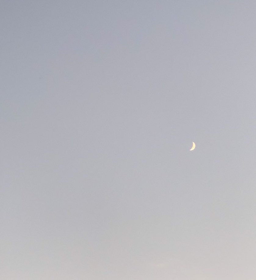 𖤓‎ ♡ ☽ tweet media