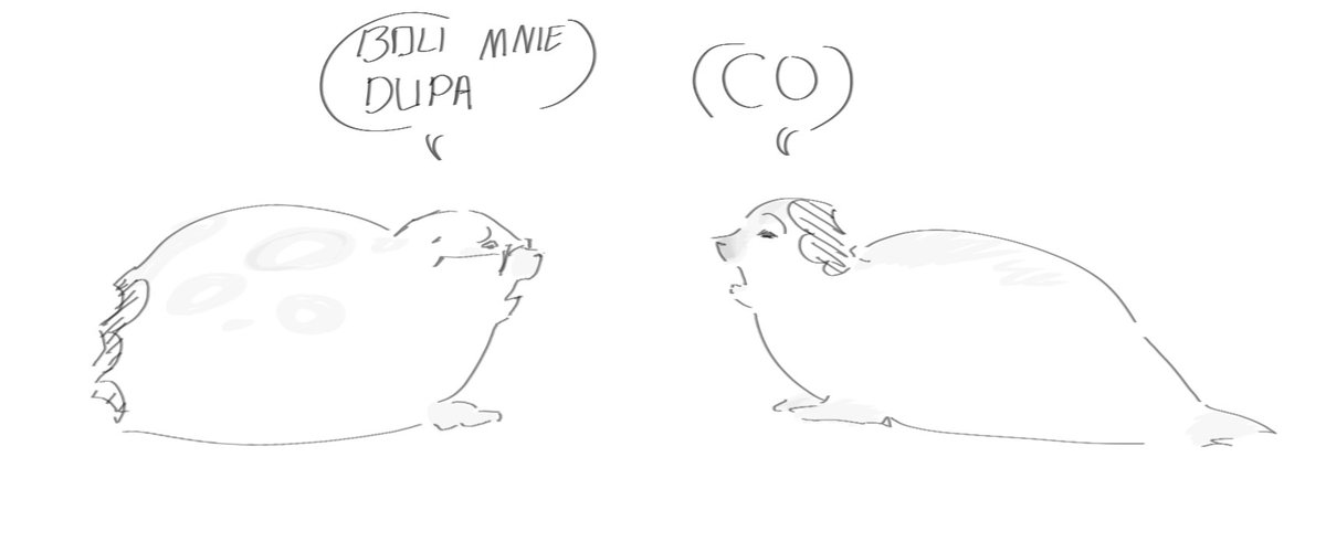 Sticc 🐡//Pathetic men luvr tweet media