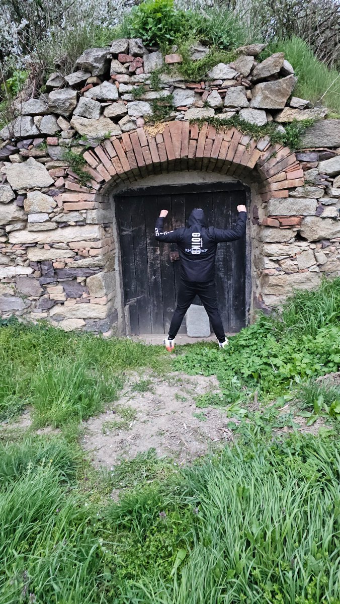 Sloth + Sloth = SlothanaCoin tweet media