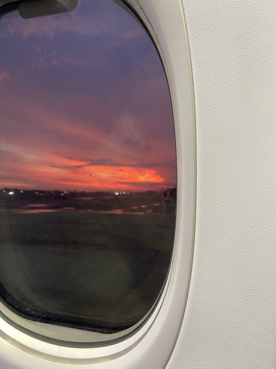 ikan laut tweet media