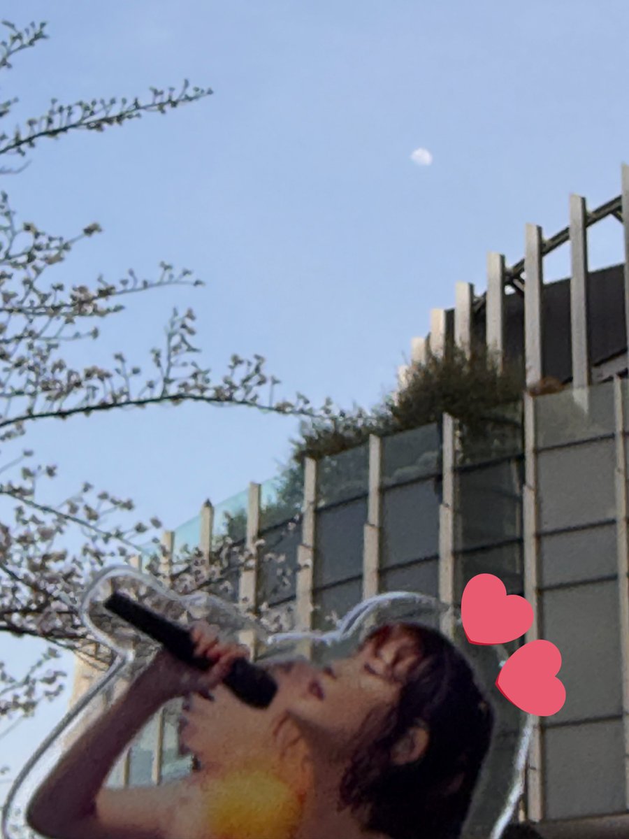 kitty_JDABC's tweet photo. 遅くなりましたが、Premium Concert 2026 「Not just I 3」Billboard東京一部のみ…目線もらえる席で最高でした��

#staff_sakurako 
#大原櫻子 https://t.co/WNnp3JXl0A