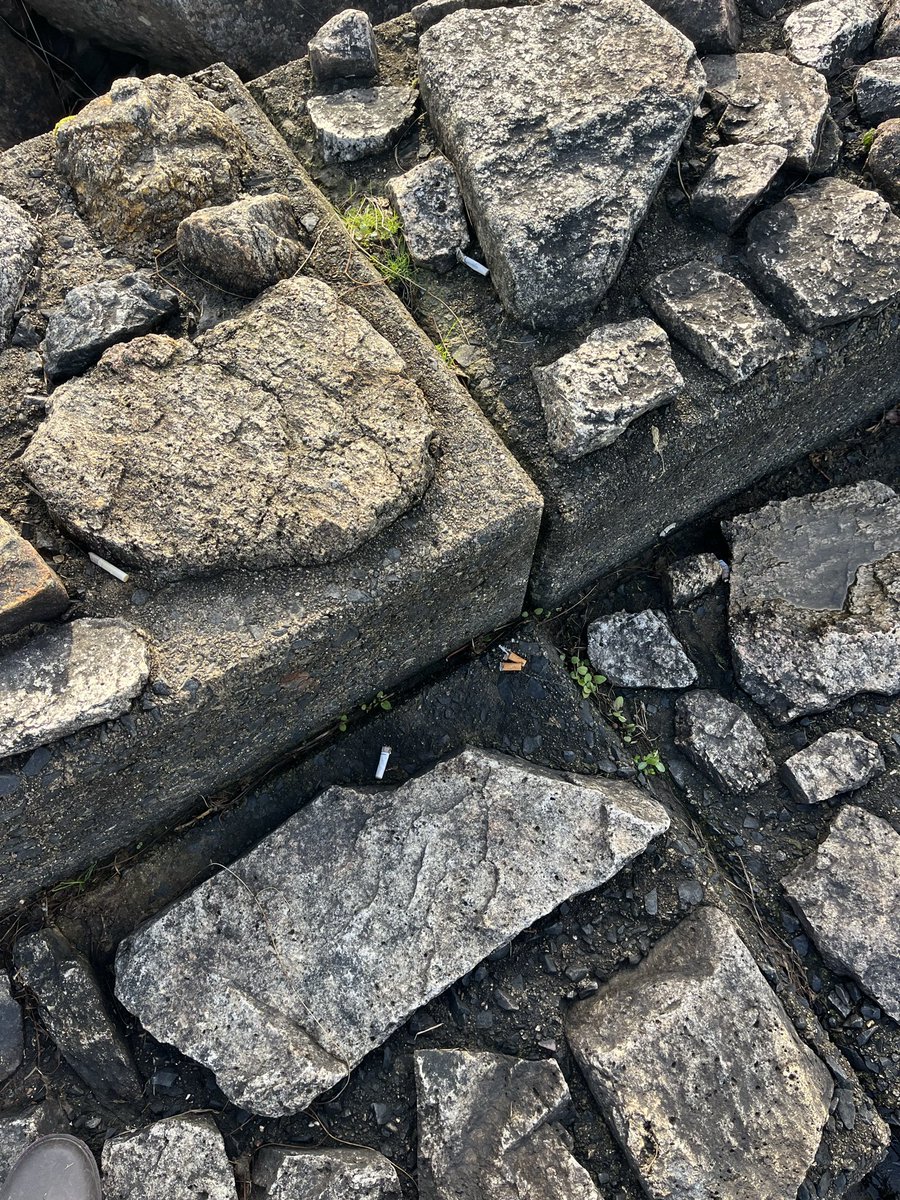 まさまさ tweet media