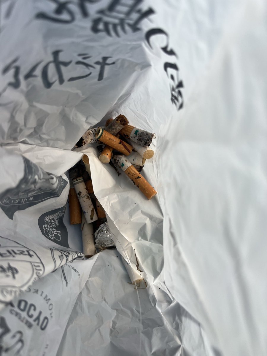 まさまさ tweet media