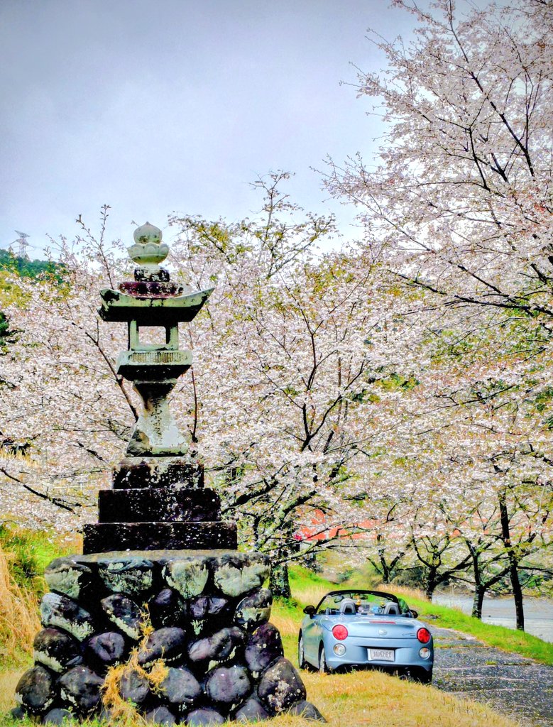 ばう（秒で退散） tweet media