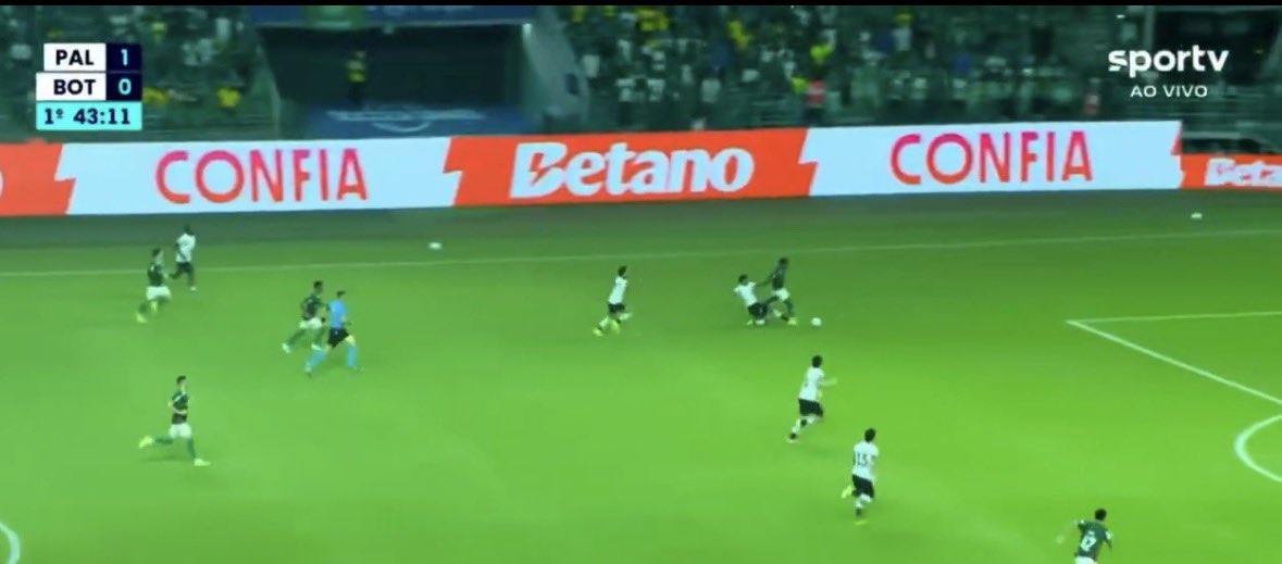 Wellington Arruda 🦫 tweet media