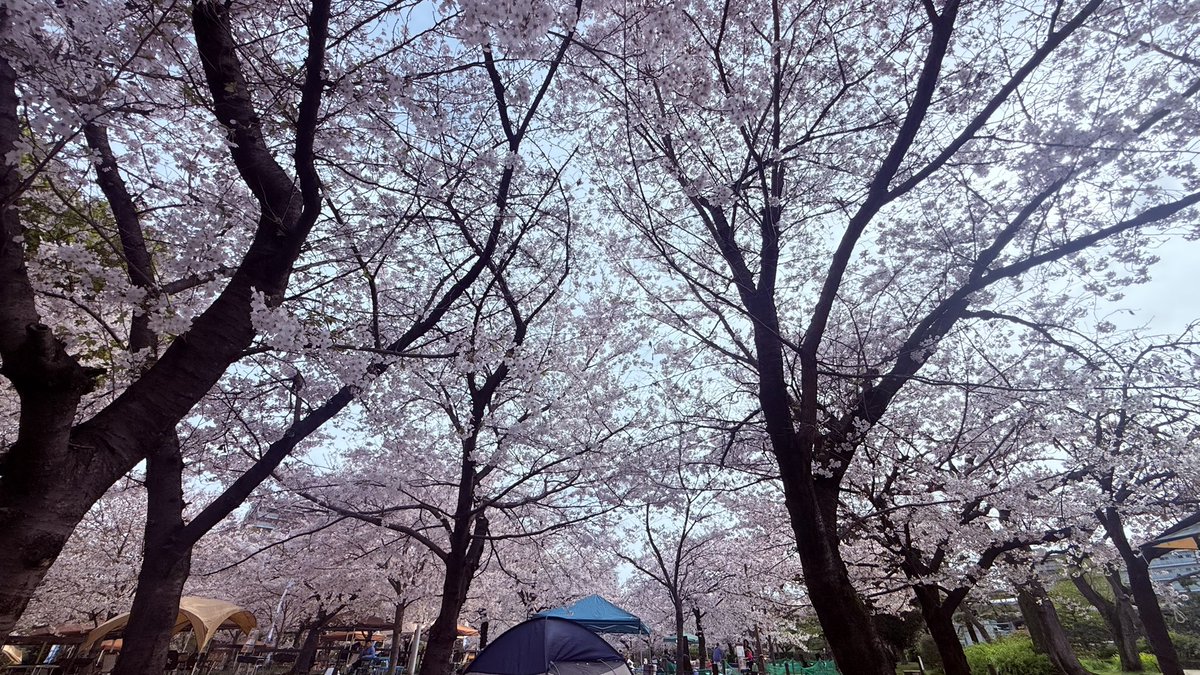 うんスプ tweet media