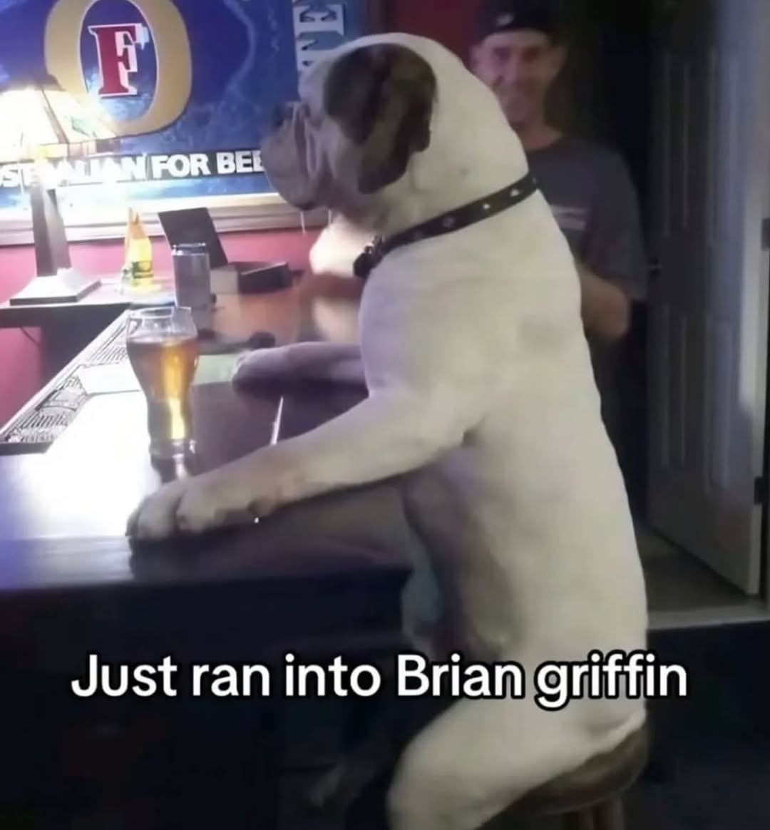 LAnDo NIFFIRG™️🇨🇦 tweet media