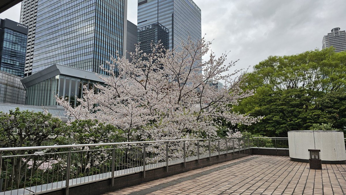 司⭐ーー💧 tweet media