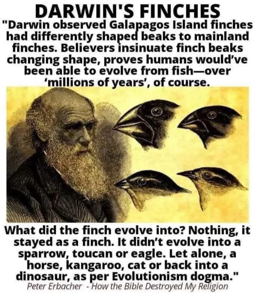 Not Evolution tweet media