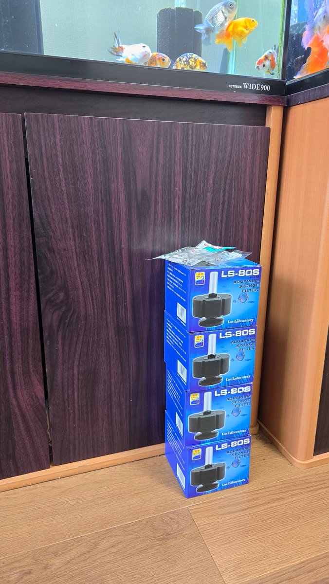 LIMITED_BETA tweet media