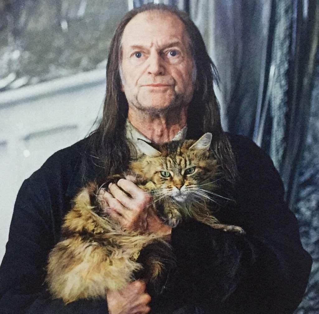 Acervo Madame Nor-r-ra tweet media