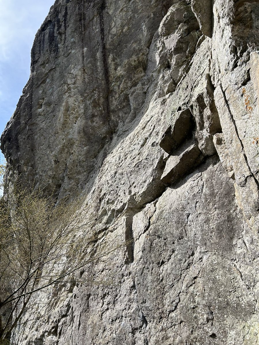 ❖❖ depp ❖❖ tweet media