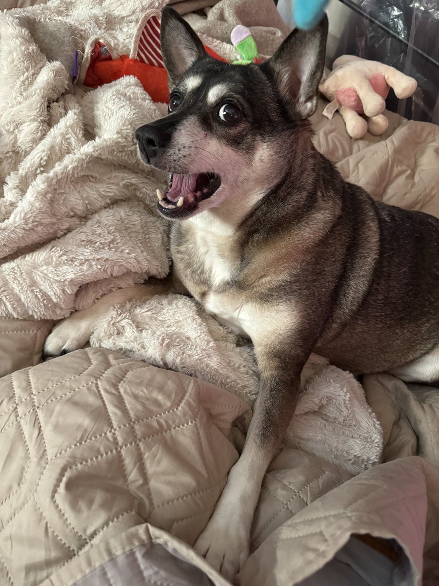 Arthur 𓃦 tweet media