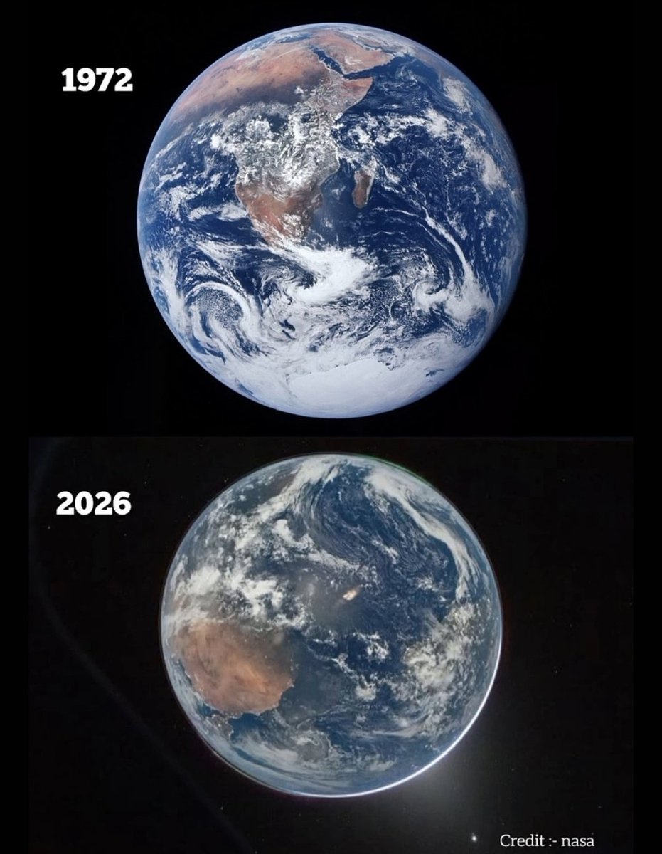 Planet Of Memes tweet media