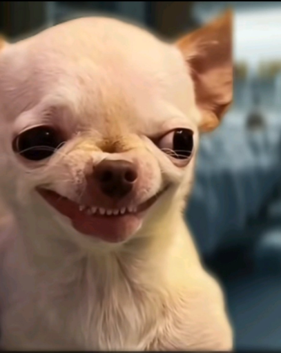 PerfectRotation tweet media