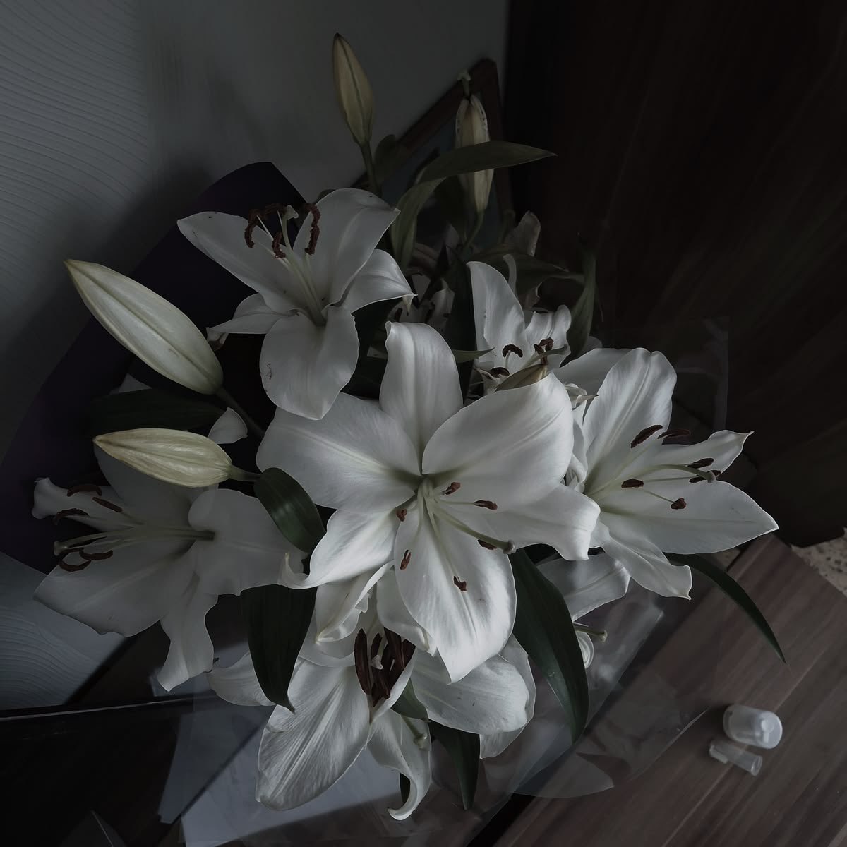 ♱⃓ L tweet media