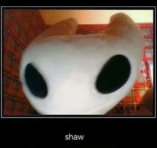 Gameplay Madness tweet media