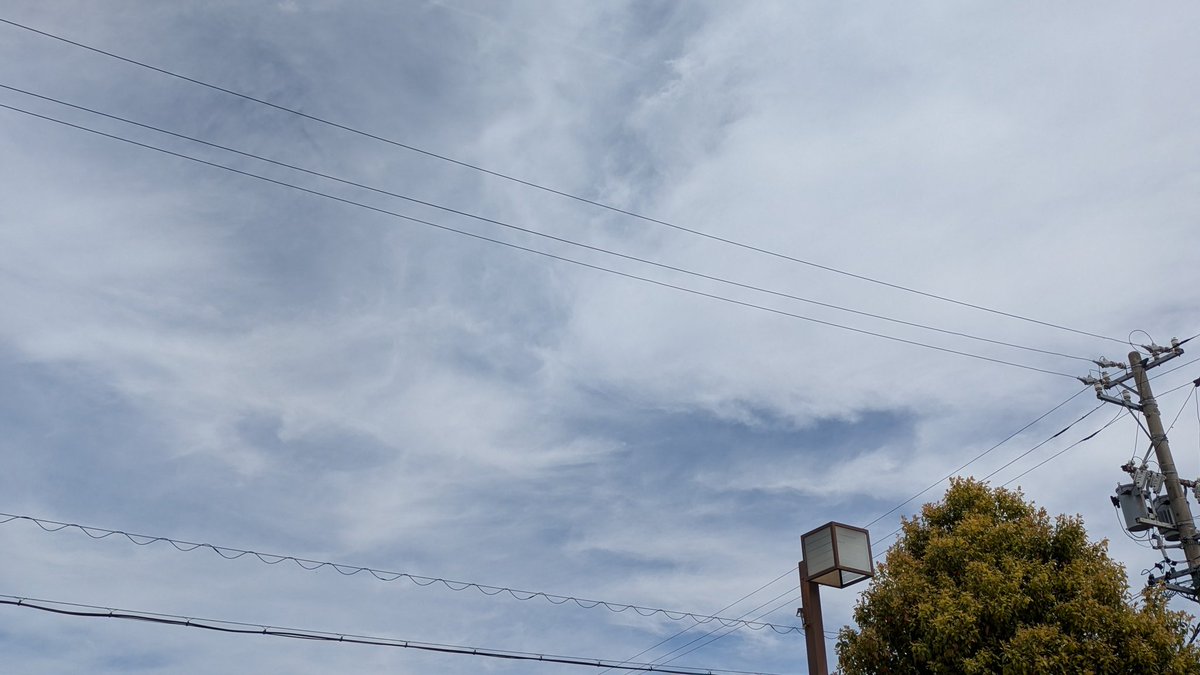 かぐ .｡.:*♡✿ฺ✈ tweet media