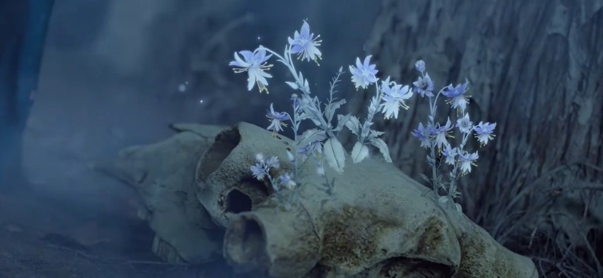 sissi | he simu & lu wuyi era tweet media