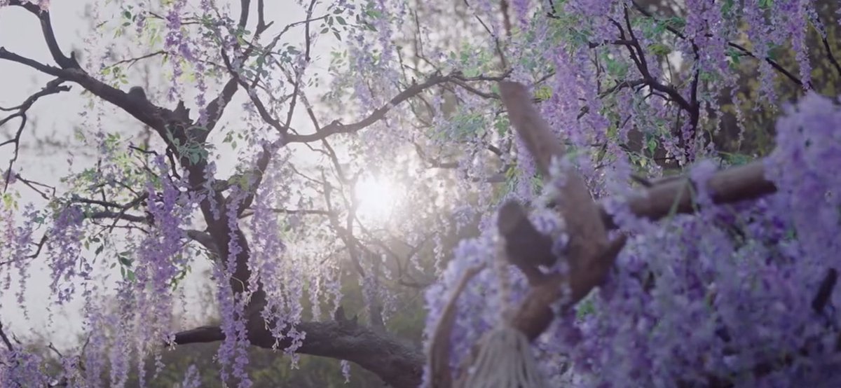 sissi | he simu & lu wuyi era tweet media