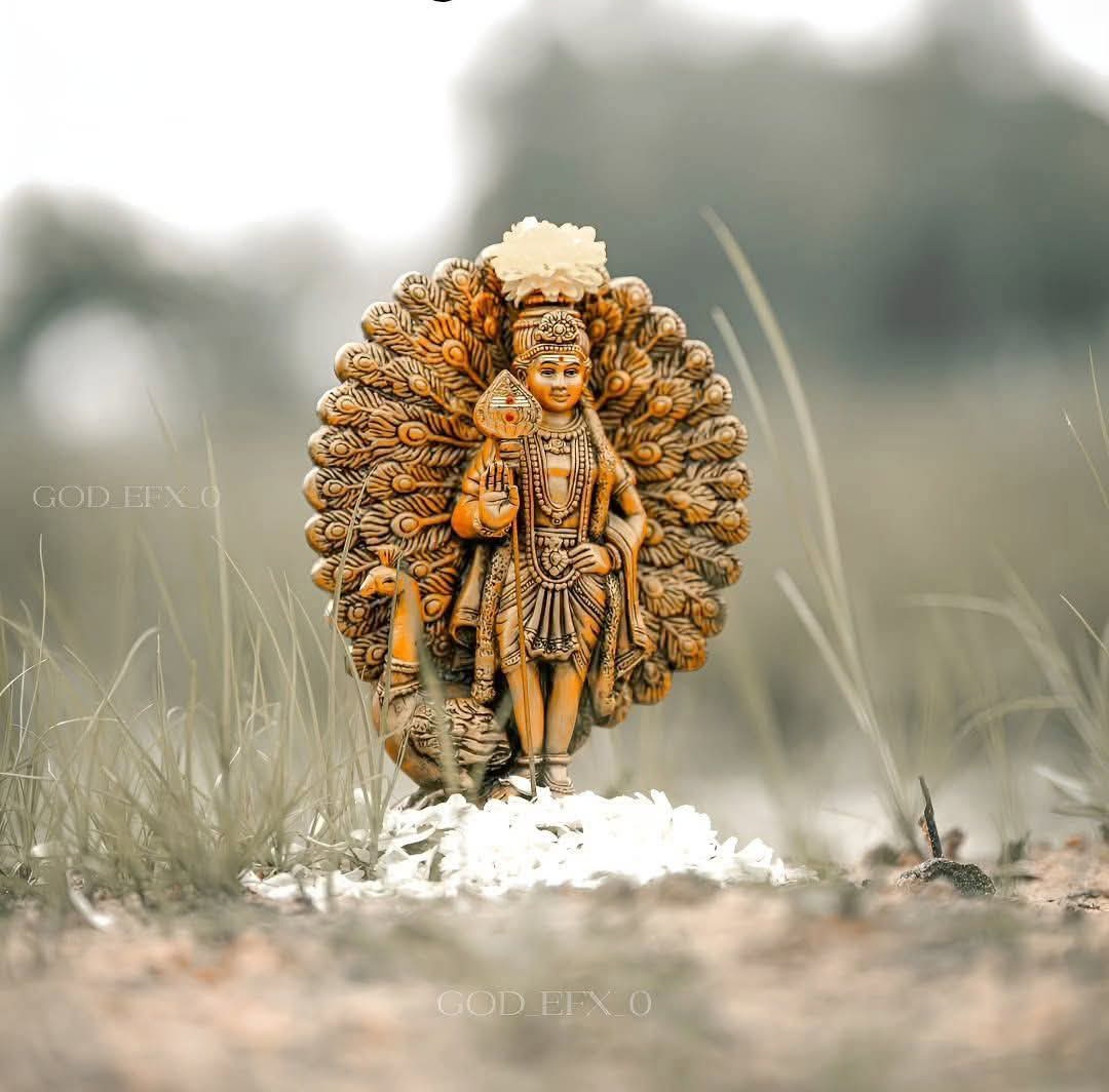 indupriya911's tweet image. ...
சந்தேகத்தின் மீது நம்பிக்கை வைக்காதீர்கள்...

நம்பிக்கையின் மீது சந்தேகம் கொள்ளாதீர்கள்...

இனிய காலை வணக்கம் ...
...
#goodmorning 
#happyweekend
#happysunday