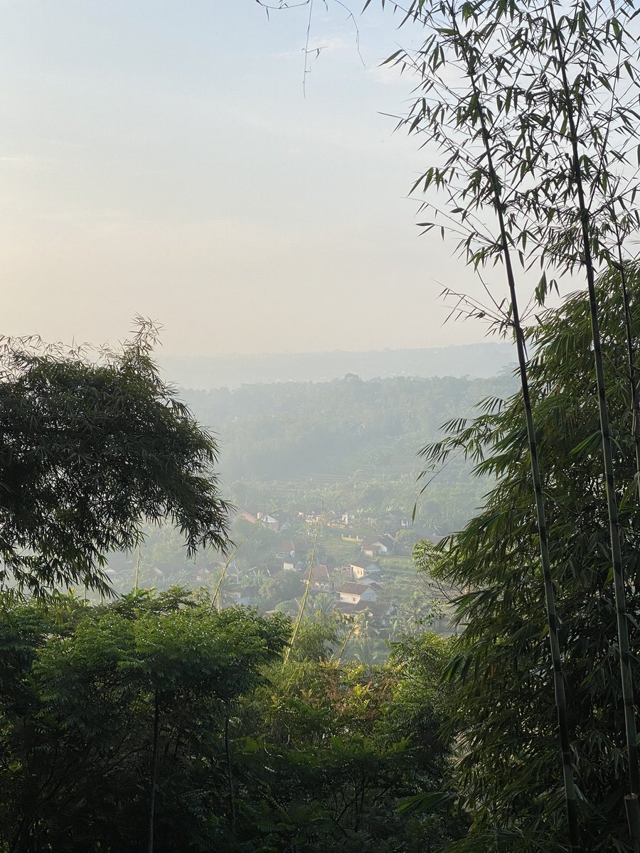 フライデンレイフ 🎬 tweet media