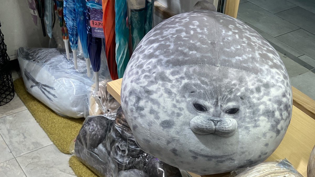 ミニョ tweet media