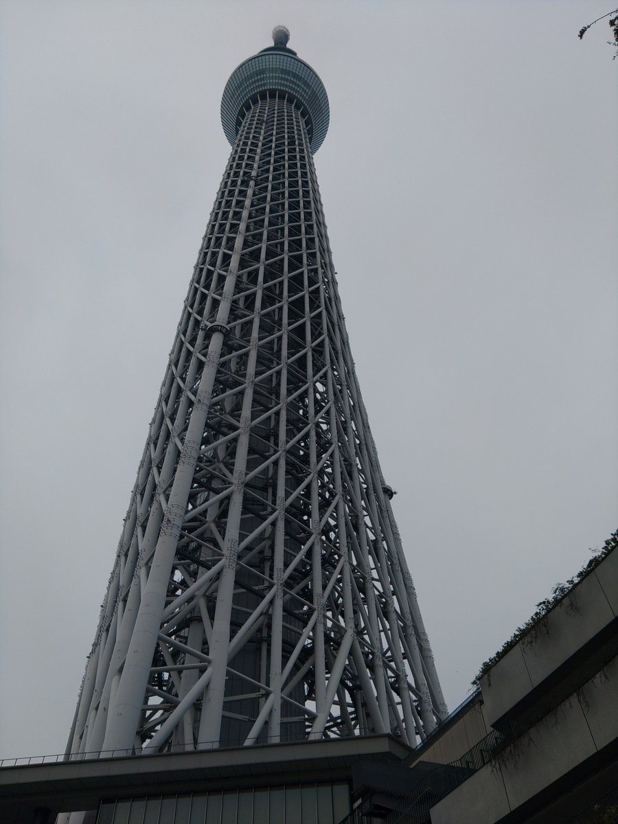 くまさんです🐻 🍏 tweet media