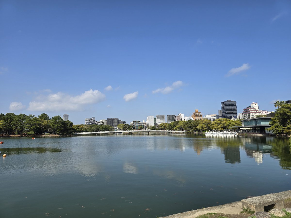 マイク tweet media